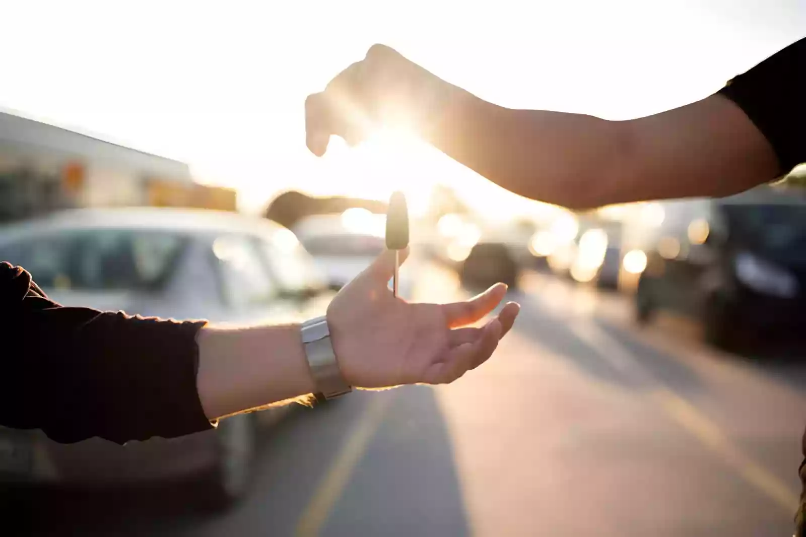 Bodrum VIP Transfer Araç Filosu